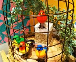 鳥を預かる時によくあるトラブル・対処法