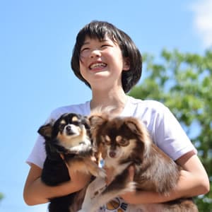 いぬと信頼関係を築くために必要なこと