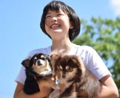 いぬと信頼関係を築くために必要なこと